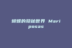蝴蝶的隐秘世界 Mariposas缩略图 蝴蝶的隐秘世界 Mariposas