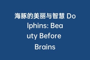 海豚的美丽与智慧 Dolphins: Beauty Before Brains