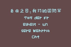自由之日：我们的国防军 Tag der Freiheit – Unsere Wehrmacht