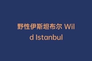 野性伊斯坦布尔 Wild Istanbul缩略图 野性伊斯坦布尔 Wild Istanbul