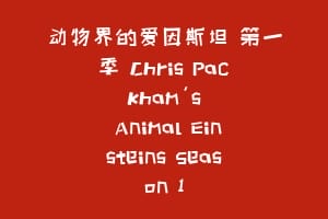 动物界的爱因斯坦 第一季 Chris Packham's Animal Einsteins Season 1