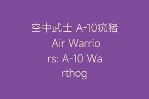 空中武士 A-10疣猪 Air Warriors: A-10 Warthog缩略图 空中武士 A-10疣猪 Air Warriors: A-10 Warthog