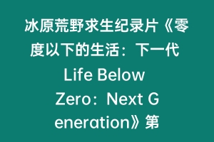 冰原荒野求生纪录片《零度以下的生活：下一代 Life Below Zero：Next Generation》第3季全10集中字 纪录片解说素材百度云盘下载 1080/MKV/30.7G