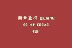 商业危机 Business Of Disaster