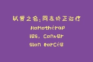 以爱之名：同志矫正治疗 Homothérapies, conversion forcée