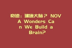 奇迹：建造大脑？ NOVA Wonders Can We Build a Brain?