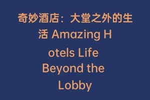 奇妙酒店：大堂之外的生活 Amazing Hotels Life Beyond the Lobby