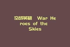 空战英雄 War Heroes of the Skies缩略图 空战英雄 War Heroes of the Skies