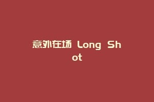 意外在场 Long Shot