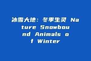 冰雪大地:冬季生灵 Nature Snowbound Animals of Winter缩略图 冰雪大地:冬季生灵 Nature Snowbound Animals of Winter