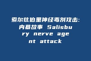 索尔兹伯里神经毒剂攻击:内幕故事 Salisbury nerve agent attack缩略图 索尔兹伯里神经毒剂攻击:内幕故事 Salisbury nerve agent attack