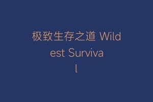 极致生存之道 Wildest Survival