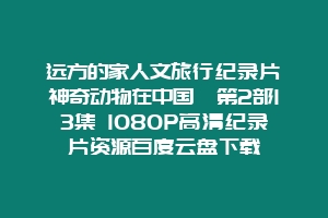 远方的家人文旅行纪录片《神奇动物在中国》第2部13集 1080P高清纪录片资源百度云盘下载