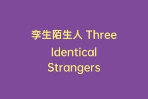 孪生陌生人 Three Identical Strangers