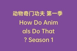 动物奇门功夫 第一季 How Do Animals Do That? Season 1插图 动物奇门功夫 第一季 How Do Animals Do That? Season 1