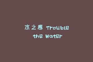 水之患 Trouble the Water