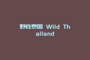 野性泰国 Wild Thailand