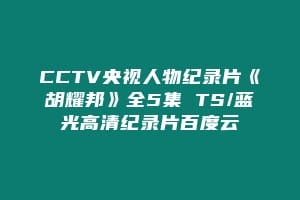 CCTV央视人物纪录片《胡耀邦》全5集 TS/蓝光高清纪录片百度云