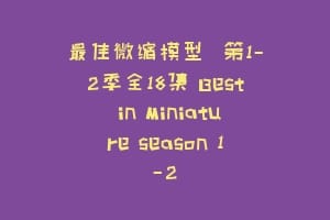 最佳微缩模型  第1-2季全18集 Best in Miniature season 1-2