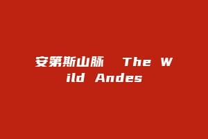 安第斯山脉  The Wild Andes