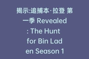 揭示:追捕本·拉登 第一季 Revealed: The Hunt for Bin Laden Season 1