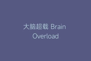 大脑超载 Brain Overload