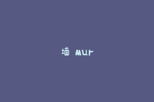 墙 Mur