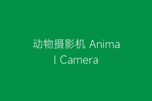 动物摄影机 Animal Camera