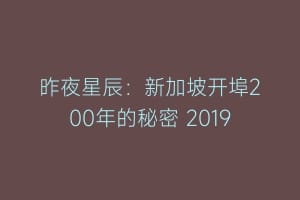 昨夜星辰：新加坡开埠200年的秘密 2019