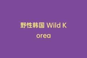 野性韩国 Wild Korea