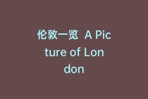 伦敦一览  A Picture of London