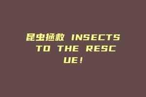 昆虫拯救 INSECTS TO THE RESCUE！