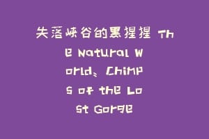 失落峡谷的黑猩猩 The Natural World: Chimps of the Lost Gorge