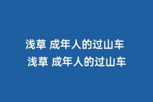 浅草 成年人的过山车 浅草 成年人的过山车