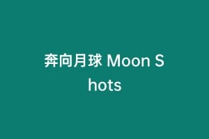 奔向月球 Moon Shots