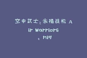 空中武士：米格战机 Air Warriors : mig