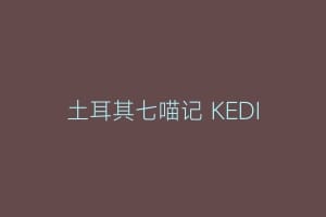 土耳其七喵记 KEDI