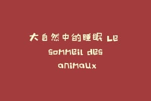 大自然中的睡眠 Le sommeil des animaux