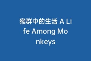 猴群中的生活 A Life Among Monkeys缩略图 猴群中的生活 A Life Among Monkeys