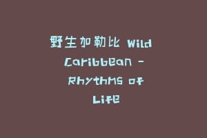 野生加勒比 Wild Caribbean – Rhythms of Life
