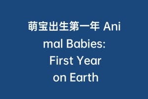 萌宝出生第一年 Animal Babies: First Year on Earth缩略图 萌宝出生第一年 Animal Babies: First Year on Earth