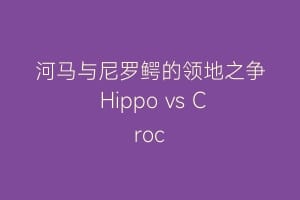 河马与尼罗鳄的领地之争 Hippo vs Croc