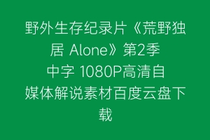 野外生存纪录片《荒野独居 Alone》第2季中字 1080P高清自媒体解说素材百度云盘下载
