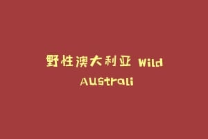 野性澳大利亚 Wild Australi
