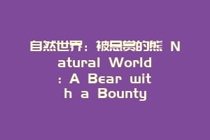 自然世界:被悬赏的熊 Natural World: A Bear with a Bounty缩略图 自然世界:被悬赏的熊 Natural World: A Bear with a Bounty