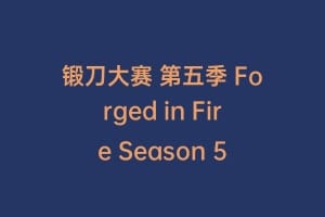 锻刀大赛 第五季 Forged in Fire Season 5插图 锻刀大赛 第五季 Forged in Fire Season 5