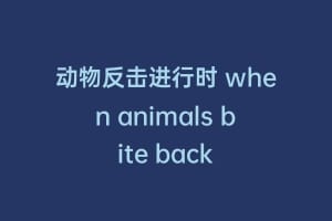 动物反击进行时 when animals bite back