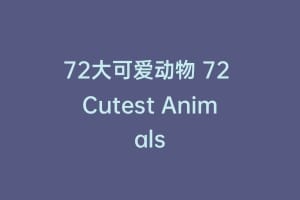 72大可爱动物 72 Cutest Animals