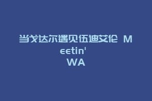 当戈达尔遇见伍迪艾伦 Meetin' WA
