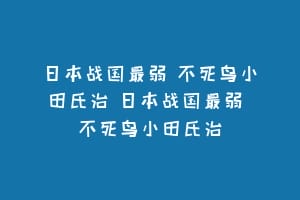 日本战国最弱 不死鸟小田氏治 日本战国最弱 不死鸟小田氏治缩略图 日本战国最弱 不死鸟小田氏治 日本战国最弱 不死鸟小田氏治